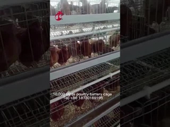 Katmanlı Tavuklar Sandy için Nijerya Depo Premium ve Deluxe Kümes Pil Kafes Sistemi