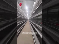 H Tipi Modern 25000 Kuş Otomatik Tavuk Kafesi Ekipmanı Emily