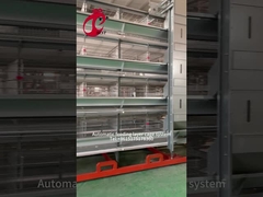 Katmanlı Tavuk Çiftliği Ekipmanları 4 Katmanlı Tavuk Kafesi 2.40m* 2.60m* 2.0m Gül