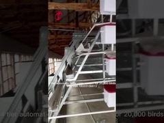 96 Kuş Otomatik Tavuk Kafesi Ekipmanları Nijerya Iris'te Tavuk Yumurtlamak İçin Pil Yumurta Katman Kafesi