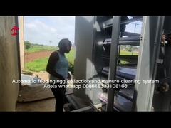 Büyük Çiftlik Adela İçin Tam Otomatik A Tipi Katmanlı Tavuk Pil Kafesi