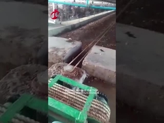 5.000 Kuşluk Tavuk Çiftliği Gübre Sökme Makinesi Kullanın Mia