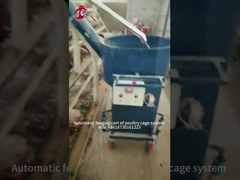 Çin Nijerya Fabrika Katman Broiler Kümes Tavuk Yetiştirme Kafesi Satılık Ada