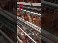 Yüksek Dayanıklılık Katmanlı Kafes Sistemi Sıcak Galvanize Düşük Karbonlu Çelik Afrika Adela