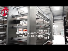 Bir H Tipi Otomatik Tavuk Kuşatma Kafes Sistemi Afrika Pazarı Iris