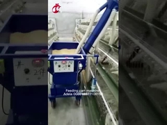 A Tipi ve H Tipi Özel Boyut Otomatik Tavuk Besleme Arabası Adela