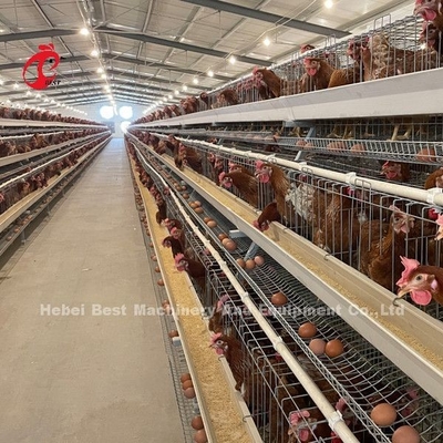 Afrika'da Yüksek Esneklik Katmanlı Kafes Sistemi Sıcak Galvanizli Düşük Karbonlu Çelik Adela