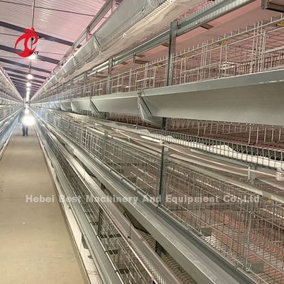 Sıcak Dip Galvanize Tavuk Kafes Sistemi Beyaz Katman Çiftlik Kuş Konutları Adela