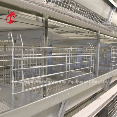 Tavuk 12 Hücre Katman Pil Kafes Sistemi 4 Katman Çiftlik Adela için
