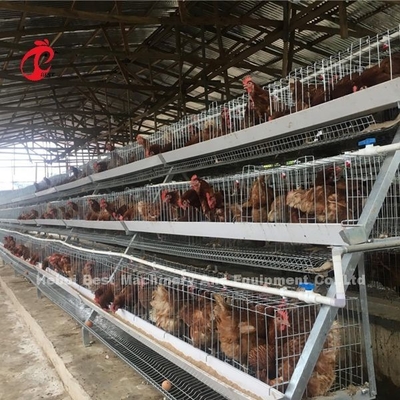 1000 ila 20000 Kuş Kümes Hayvanları Çiftliği İris için A Veya H Tipi Katmanlı Pil Kafes Sistemi