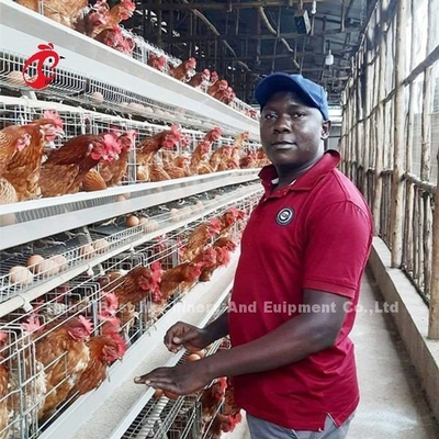 Çiftlik Mia'da Tavuk Katmanı Galvanizli Kanatlı Pil Kafes Sistemi Oksidasyon Direnci