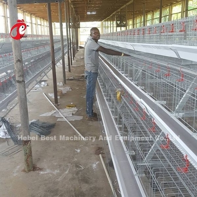 Katmanlı Tarım Kullanımı 2 Katmanlı Pil Kafesi Kümes Hayvanları Evi Sıcak Daldırma Galvanizli Kumlu