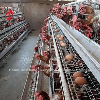 Katmanlı Tarım Kullanımı 2 Katmanlı Pil Kafesi Kümes Hayvanları Evi Sıcak Daldırma Galvanizli Kumlu