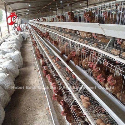 Tavukçuluk Yetiştiriciliği Sandy için Tavuk A ve H Otomatik Pil Kafes Sistemi