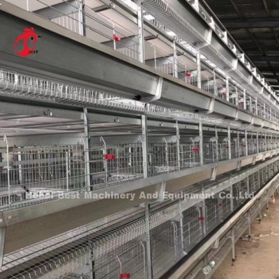96 Kuş Kanatlı Pil Kafes Sistemi Broiler Otomatik Yumurta Tavukları A Tipi Gül