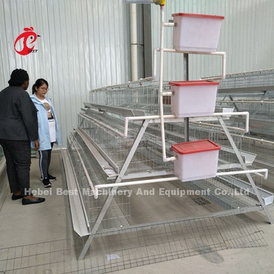 A Tipi Tavuk 128 kuş Tavuk Tavuk Pil Kafes Sistemi Nijerya Çiftliği Doris için Sıcak Dip Galvanize