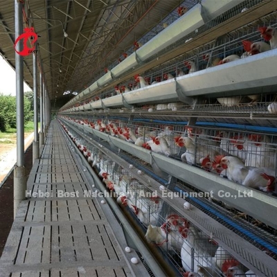 1000 ila 20000 Kuş Kümes Hayvanları Çiftliği İris için A Veya H Tipi Katmanlı Pil Kafes Sistemi