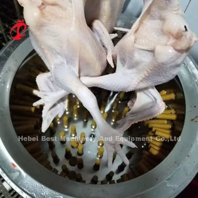 Kümes Hayvanları Çiftliği Mezbaha 1100w Tavuk Tüy Yolma Makinesi Nijerya'da Doris
