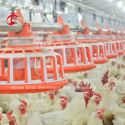 Broiler Tavukçuluk Yetiştiriciliği 45 Tavuk Besleme Hattı İçme Hattı Otomatik Ekipman Gül