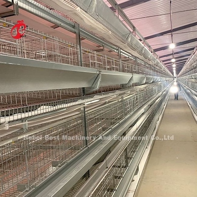 Paslanmaz Çelik Tel Pil Kafes Tavuk 432cm2 Alan Kuş Adela
