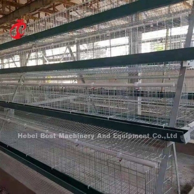 Galvanizli A Tipi Tavuk Yetiştiriciliği Kafes Sistemi 20 Yıl Ömürlü Doris