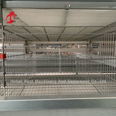 4 Katlı Tavuk Kafesleri Tam Otomatik Ekipman Özel Çözümler Mümkün Adela