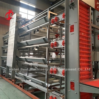 Tavuk Evi İris İçin Profesyonel Tam Otomatik Tavuk Kafesi Ekipmanında Fabrika Fiyatı