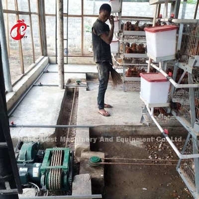 Sandy Tavuk Çiftliği İçin Tasarlanmış Otomatik Gübre Sıyırıcı Ve Bant Tipi