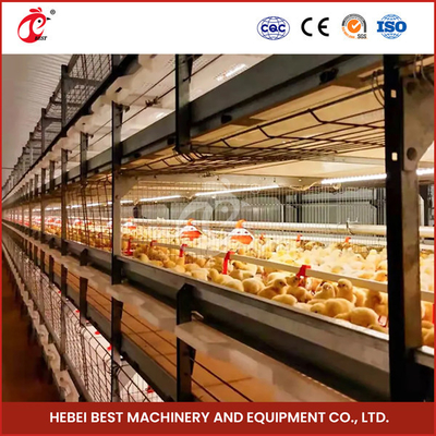 20,000 Kuş Kolay Çalışma Tam Otomatik Broiler Kafes Sistemi Tavuk Çiftliği Sandy için