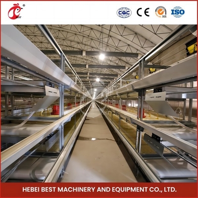Yüksek Hassasiyetli Otomatik Broiler Tavuk Kafesi H Tipi Kanatlı Broiler Kafesi Gül