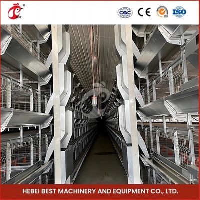 Yüksek Hassasiyetli Otomatik Broiler Tavuk Kafesi H Tipi Kanatlı Broiler Kafesi Gül