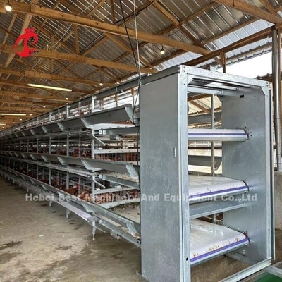 Kanatlı Çiftliği Emily için Otomatik Katman 160 Kuşlar Tavuk Pil Kafesi