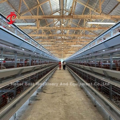 Kanatlı Çiftliği Emily için Otomatik Katman 160 Kuşlar Tavuk Pil Kafesi