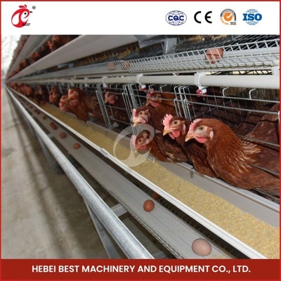 120 Kuş Katmanlı Tavuk Çiftliği Kafesi Sıcak Derin Galvanizli ve Soğuk Galvanizli İris