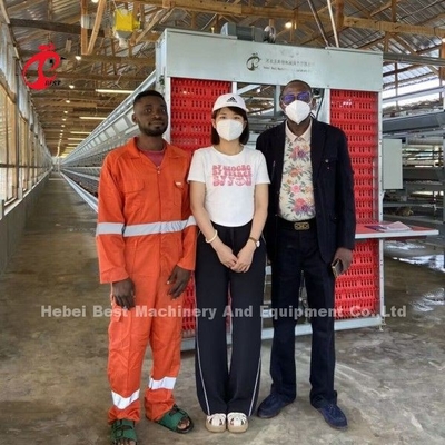 Elektrikli Q235 Tavuk Bataryası Katman Tavuk Kafes Sistemi Çelik Kafes Doris