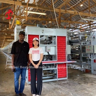 Otomatik besleme ve sulama sistemi ile elektrikli galvanizli tavuk yetiştirme kafesleri Doris