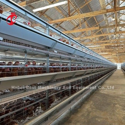 120-200 Tavuk Kapasitesi Katman Pil Kafes Sistemi 500 ila 50000 Tavuk Çiftliği Doris