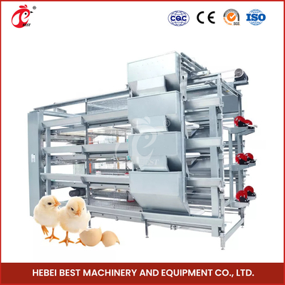 Gümüş Sıcak Galvanize Broiler Tavuk Kafesleri Tavuk yetiştirmek için Adela