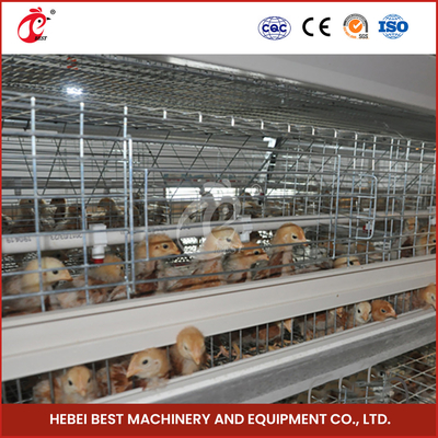 Gümüş Sıcak Galvanize Broiler Tavuk Kafesleri Tavuk yetiştirmek için Adela