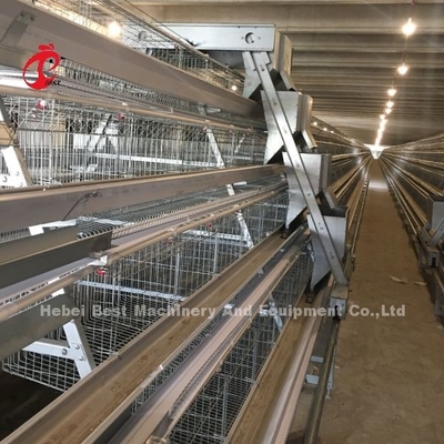 3 Katman 45 Gün Tavuk Kafesleri Çok dayanıklı Iris