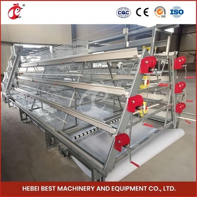 Otomatik üreme Otomatik Broiler Tavuk Kafesleri Gül