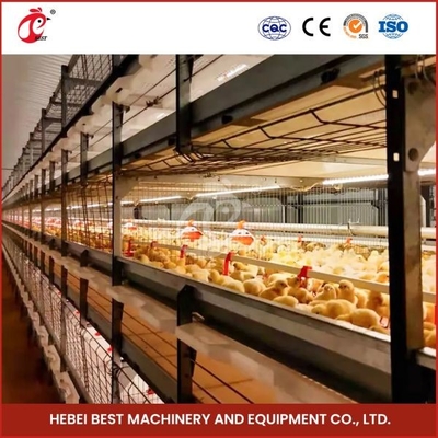 96-128 Tavuklar Broiler Tavuk kafesi Tam otomatik Mia