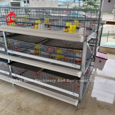 A ve H Tipi Broiler Batarya Tavuk Kafesleri 45 Güne Broiler Emily