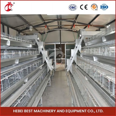 96 Kuşlar H Tipi Otomatik Tavuk Tavuk Kafesleri / Bir Tipi Broiler Tavuk Kafesleri Kaydırıcı Kapılı Gül