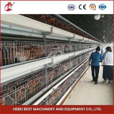 12 hücre bir tür broiler tavuk kafesi 3 katlı hızlı nakliye Mia