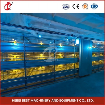 Yer tasarrufu 120-200 tavuk için otomatik broiler kafes sistemi Rose