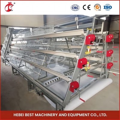 1.6m Geniş 4 Katmanlı Tavuk Çiftçileri için Kafes Rose