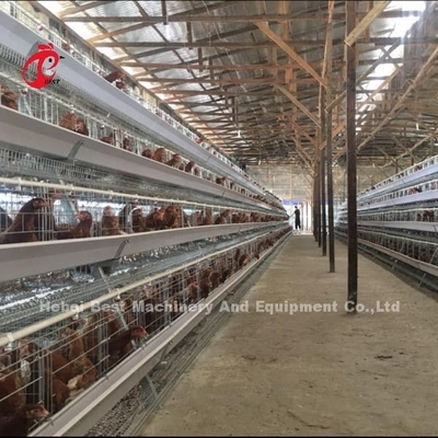 3 Katman 40cm Hücre Yüksekliği Katman Pil Kafes Sistemi Katman Verimliliğini Artırmak için Iris