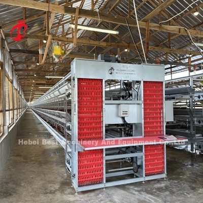 Yumurta Tavuk Çiftliği Tavuk Katmanı Kafes Elektrostatik püskürtme Ada