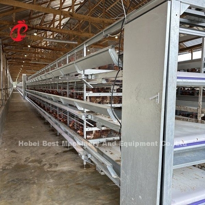 Yumurta Tavuk Çiftliği Tavuk Katmanı Kafes Elektrostatik püskürtme Ada